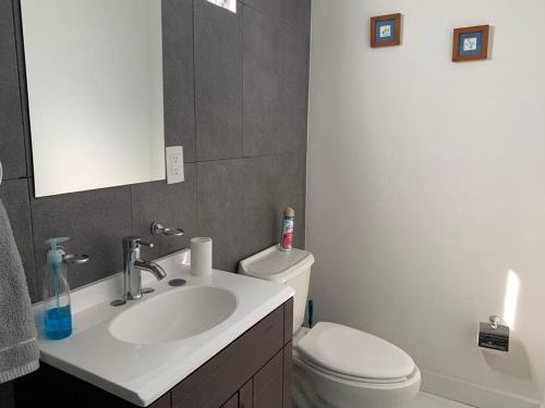 a bathroom with a sink and a toilet and a mirror at Departamento completo y equipado con 2 habitaciones in León