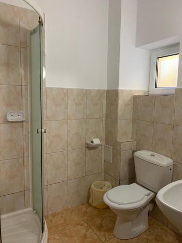 錫納亞的住宿－Vila Thomas，浴室配有卫生间、淋浴和盥洗盆。