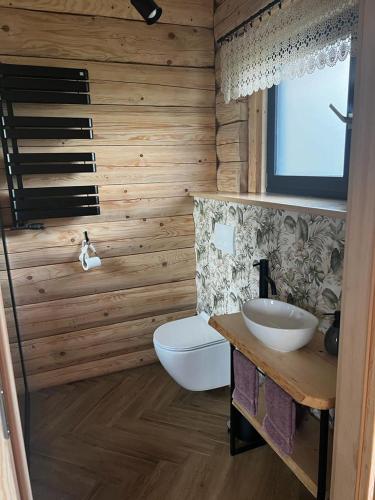 a bathroom with a toilet and a sink at MamChwilkeHome in Istebna