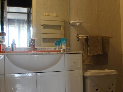 une salle de bain avec un lavabo et des toilettes dans l'établissement Appartement au Bord de l'Étang à Balaruc-les-Bains - Résidence Sécurisée, Climatisé, Pet-Friendly - FR-1-503-122, à Balaruc-les-Bains