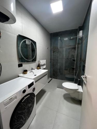 AmIon Apartment in Center of Tirana في تيرانا: حمام مع حوض ومرحاض ودش