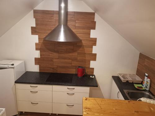 a small kitchen with a sink and a silver light at A&L private rooms in Kaunas in Kaunas