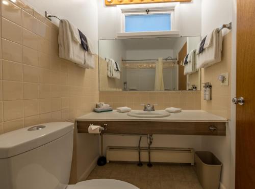 a bathroom with a sink and a toilet and a mirror at The Grayhaven Motel in Ithaca
