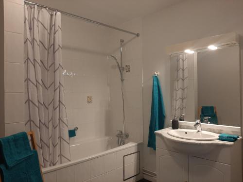 uma casa de banho com um lavatório, uma banheira e um chuveiro em Le Tri Bèneu em Sivry