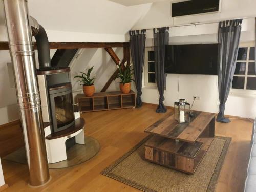 a living room with a fireplace and a tv at Schinderhannes in Waibstadt