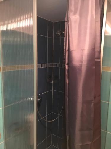 a shower with a glass door in a bathroom at Monteurzimmer, Innenstadt Lage in Husum