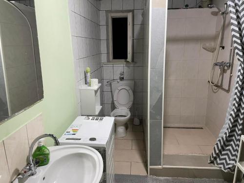 a bathroom with a sink and a toilet and a shower at Hostel Sofia in Nuremberg