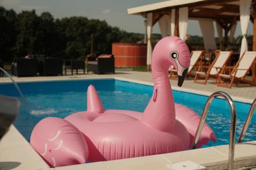 Piscina en o cerca de Kumov konak