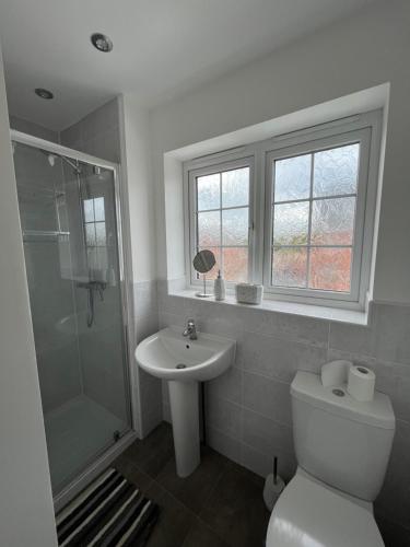 a bathroom with a toilet and a sink and a shower at Hawk House - Furnished Accommodation in Hatfield
