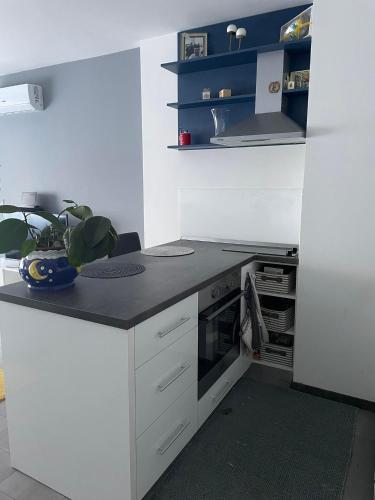 Studio Apartman Ante