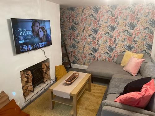 トーキーにあるGarden Flat Torquay Just 2 mins walk from the Harbourのソファと暖炉のあるリビングルーム