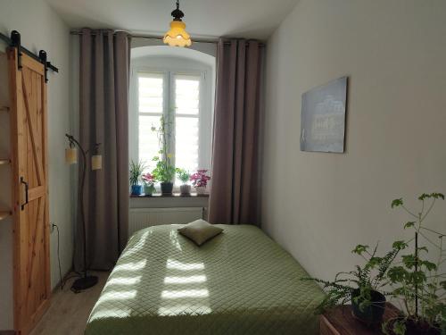 a bedroom with a bed in a room with a window at Apartament przy Zamku in Pszczyna