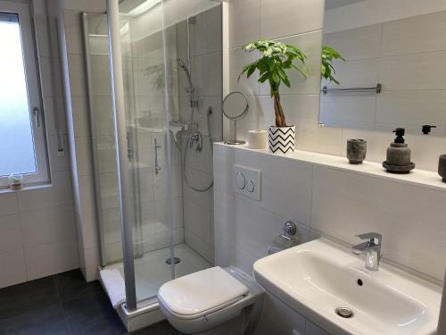 a bathroom with a shower and a toilet and a sink at RR - Tiny Apartment - Parking - Kitchen - Netflix in Magdeburg