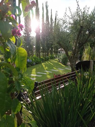 a garden with a bench and trees and grass at Pousada e Restaurante Casa Cida e Evandro in Gaspar