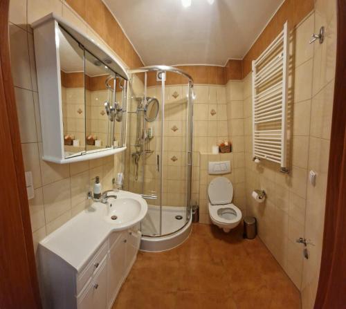 a bathroom with a toilet and a shower and a sink at Skalna View Apartament z widokiem dwie sypialnie i salon balkon parking in Karpacz