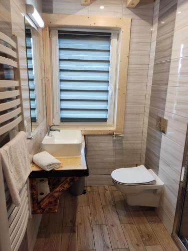 a bathroom with a toilet and a sink and a window at Mały Zakątek Dzianisz z sauną in Dzianisz