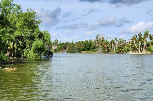 Ảnh trong thư viện ảnh của Riverfront Family Home Yard, Orchard, Dock! ở Los Fresnos