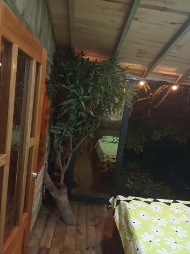 Zahrada ubytování la casita del arbol guaduas cundi.