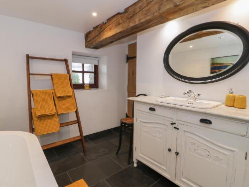 a bathroom with a sink and a mirror at Nyth Y Wennol in Holyhead