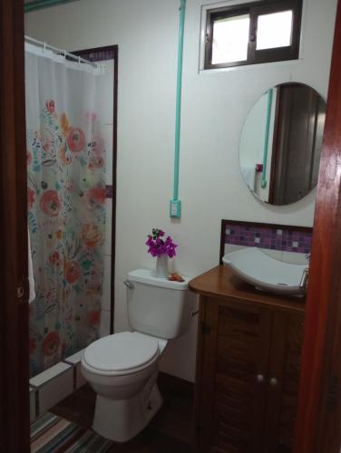 a bathroom with a toilet and a sink and a mirror at Container House Cahuita in Cahuita