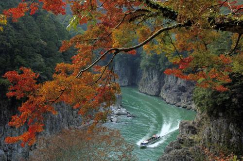 a boat on a river in a gorge with trees at Iruka Onsen Hotel Seiryuusou in Kumano
