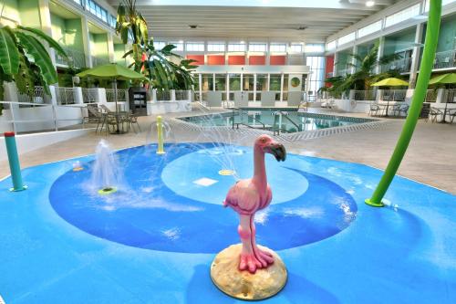 a fake pink flamingo on a rock in a pool at Oasis Hotel and Conv Center, an Ascend Collection Hotel in Springfield