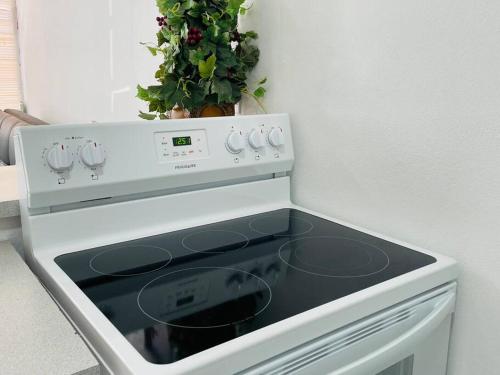 a stove top oven in a kitchen with a plant at Costa Relax 2 in Guayama