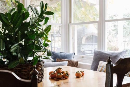 uma mesa de jantar com uma planta e algumas abóboras em The Garden House Daylesford em Daylesford