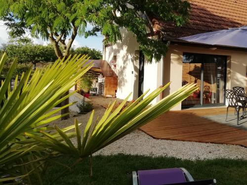 una casa con una palmera en el patio en Gîte L'Albizia Saint Maurice en Saint-Maurice-en-Rivière