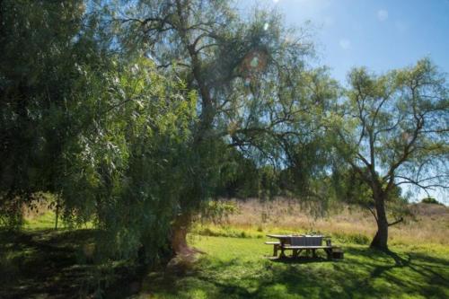 una mesa de picnic sentada bajo un árbol en un campo en Deshons Country Retreat en Kingaroy