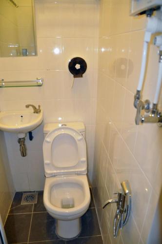 a bathroom with a toilet and a sink at Garden 96 inn in Kuantan