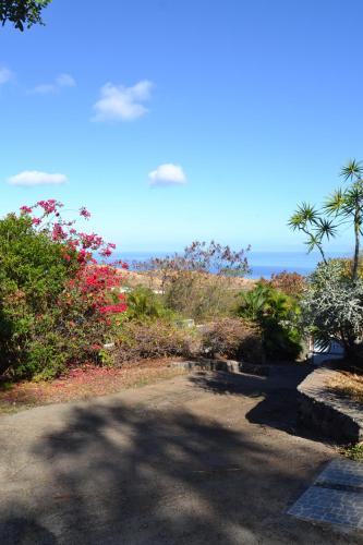 a road with a view of the ocean and flowers at La Petite Kaz Dans la Savane in Fleurimont