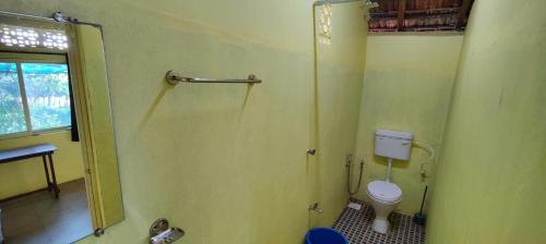 a bathroom with a shower and a toilet in it at Sweet Valley Cottages in Arambol