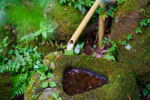 a moss covered rock with a stick on top of it at Asagiri hideaway FUJI-朝霧 富士の隠れ宿- in Fujinomiya