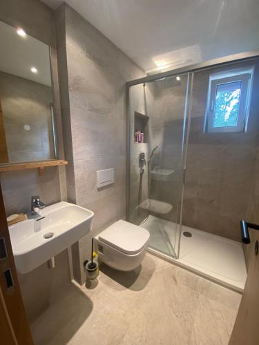 ein Bad mit einer Dusche, einem WC und einem Waschbecken in der Unterkunft Gipfel Stuben in Blaichach
