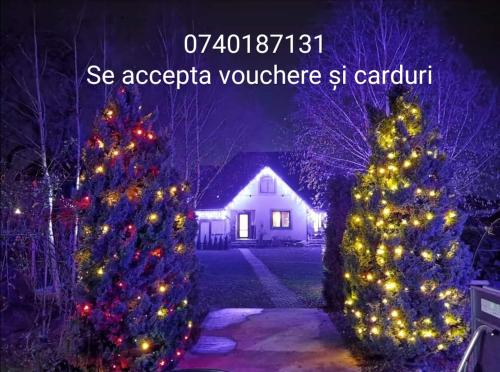 two christmas trees with lights in front of a house at Conacul Caterinei in Polovragi