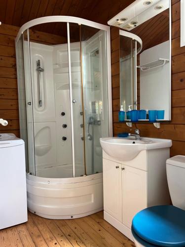 ein Bad mit einer Dusche und einem Waschbecken in der Unterkunft L'Ilot Zoizeaux in Les Avirons