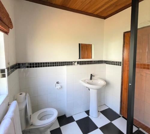 a bathroom with a toilet and a sink at Himeville Arms in Himeville