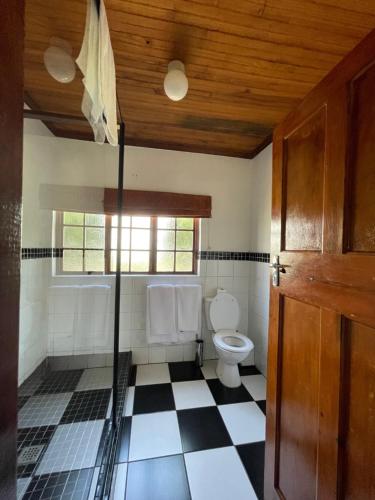 a bathroom with a toilet and a window at Himeville Arms in Himeville