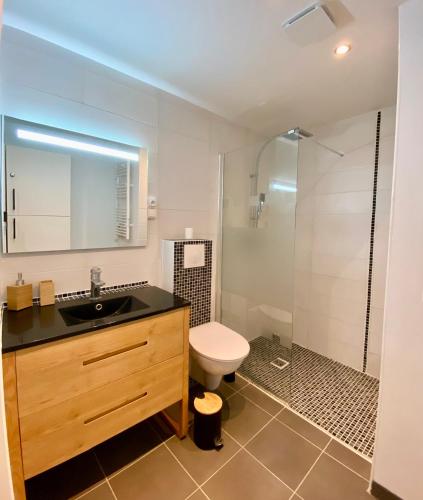 une salle de bain avec un lavabo, des toilettes et une douche dans l'établissement Le Port-Mer - Proxy port & plage - Cosy, à Dieppe