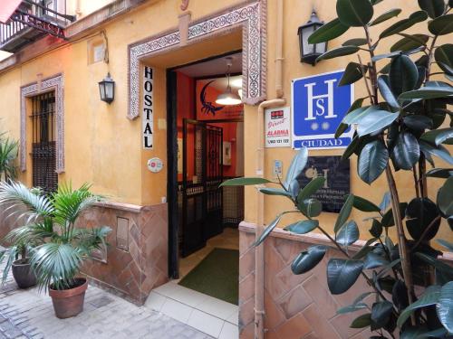 a door to a building with a plant in front of it at Hostal Arias in Seville