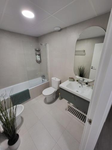 La salle de bains est pourvue d'un lavabo, de toilettes et d'un miroir. dans l'établissement Alazán Jerez IV-Parking gratis-Wifi-Netflix, à Jerez de la Frontera