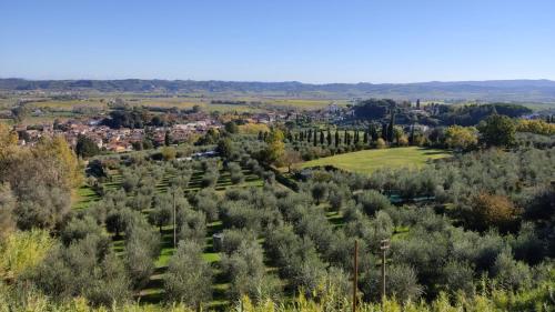 ein Feld von Bäumen mit einer Stadt im Hintergrund in der Unterkunft Holiday house I Colli Pisani in Capannoli