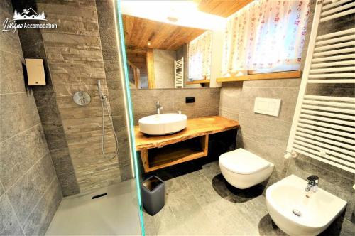 bagno con lavandino e servizi igienici di Mountain Chalet Scoiattolo a Livigno