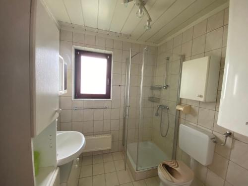 a bathroom with a shower and a sink and a toilet at Apartment 2 Feistriz in Rosental 9181 in Feistritz im Rosental