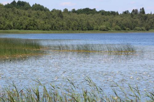 a large body of water with grass and trees at Yxkullsund Säteri B&B - Manor & Estate since 1662 in Lagan