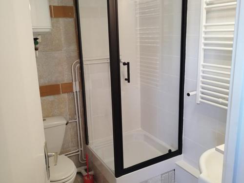 une salle de bain avec toilettes et douche en verre dans l'établissement Studio 4 pers au pied des pistes, centre station, proche commerces et sports - FR-1-262-84, à Forest des Baniols