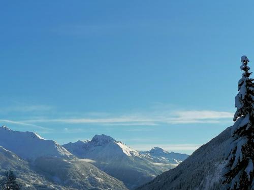 a snow covered mountain range with a tree in the foreground at Bichlerhof in Hopfgarten in Defereggen