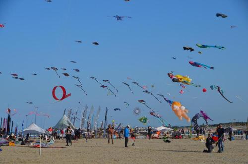 a group of people on a beach flying kites at Hotel Zanella in Cervia