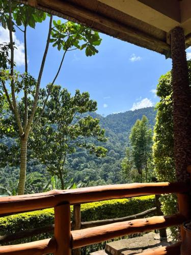 a view of the mountains from the porch of a house at Bwindi Forest Lodge in Buhoma